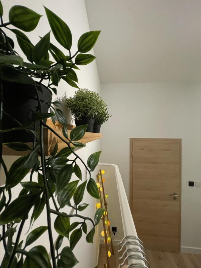 Patenier Hidden Garden 1Bdr With Garden لييج المظهر الخارجي الصورة